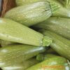 Courgette Petite verte d'Alger